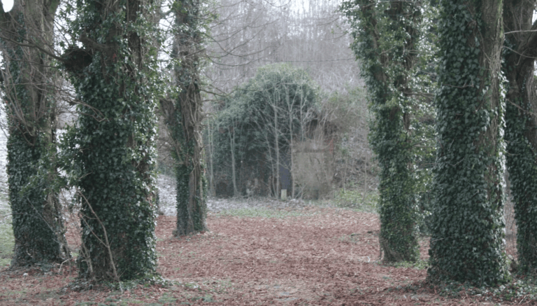 Avant le passage de créavert 51 pour une remise en état