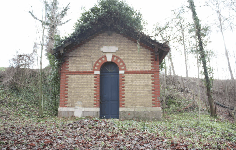 Après la remise en état d'un bâtiment plein de lierre et de mauvaises herbes