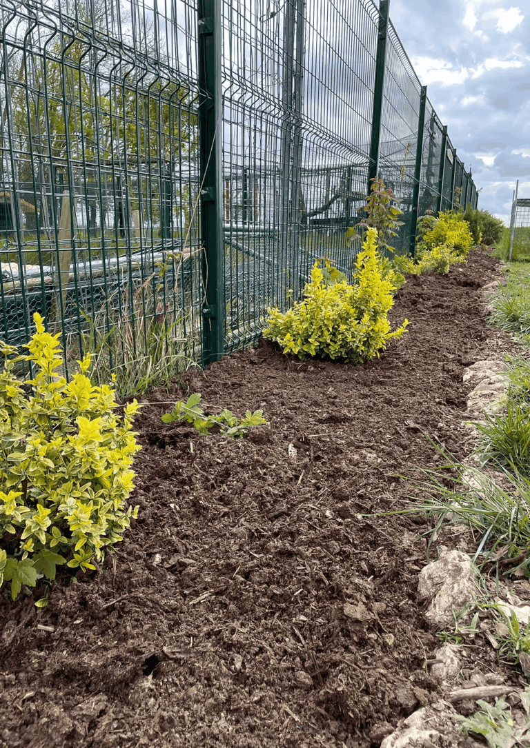 Création d'une plate-bande par créa'vert