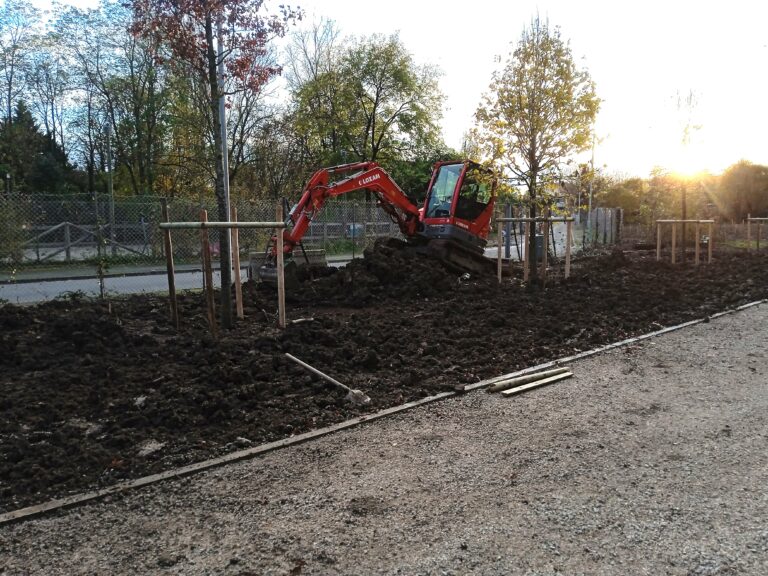 plentation d'arbre remarquable